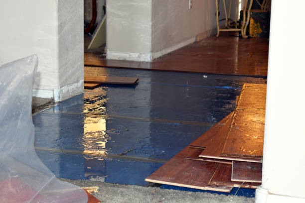 Professional Basement Flood Cleanup technician working in Hurley, WI